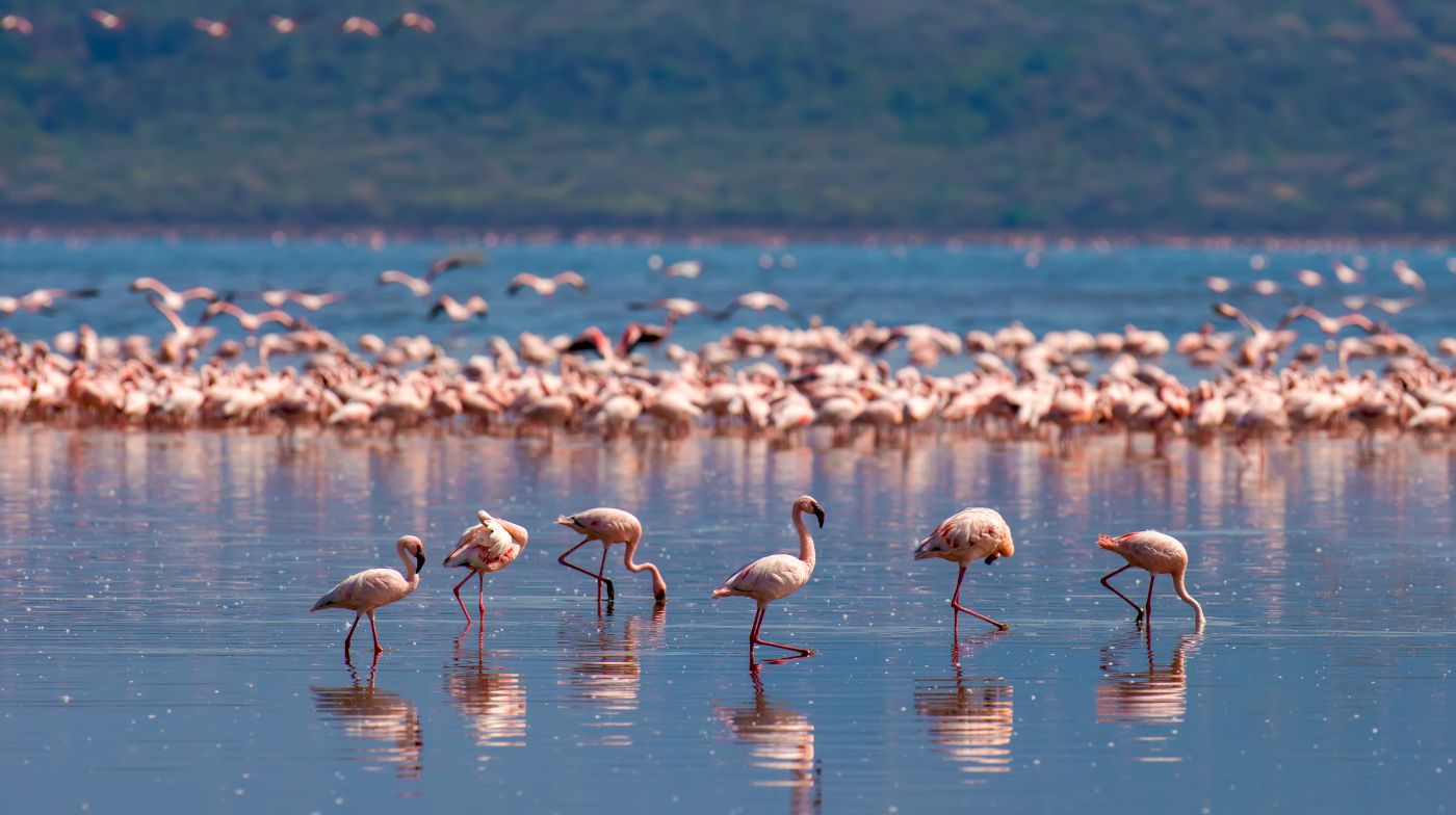 web design company in nakuru kenya