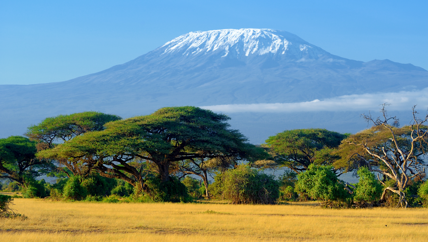 web design company in tanzania kenya